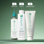Matrix Biolage ScalpSync Anti-Dandruff sampon korpásodás ellen 400 ml