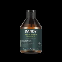 Dandy Beard and Hair sampon 300 ml