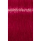 Indola Crea-Bold hajszínező 100 ml