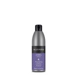 Allwaves Nourishing sampon festett hajra áfonyával és körömvirággal 250 ml