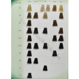 Schwarzkopf Essensity kíméletes tartós ammóniamentes hajfesték 60 ml